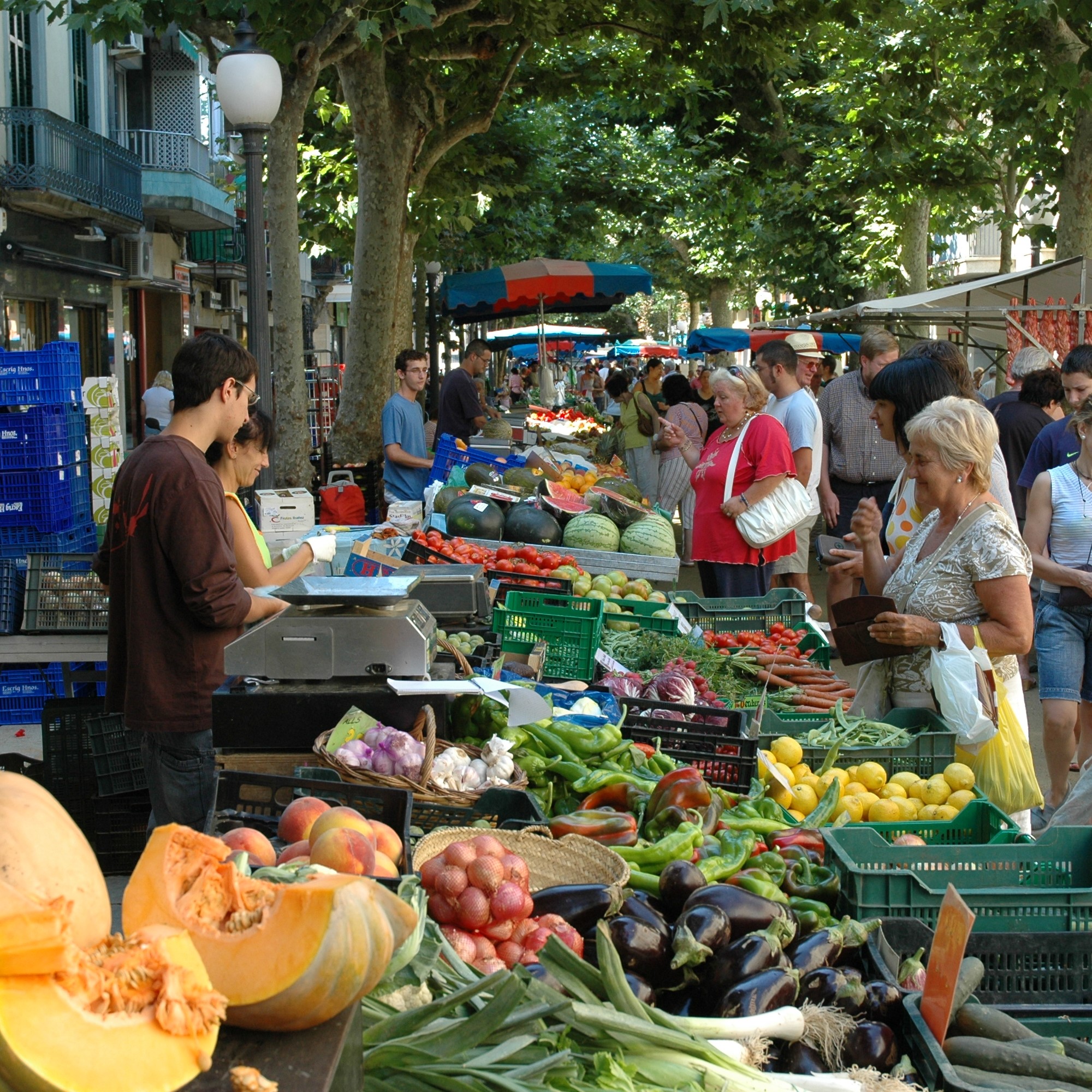 Amb aquests preus no es pot viure