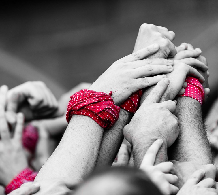 XXX Jornada sobre Cooperativisme-UCE 2015