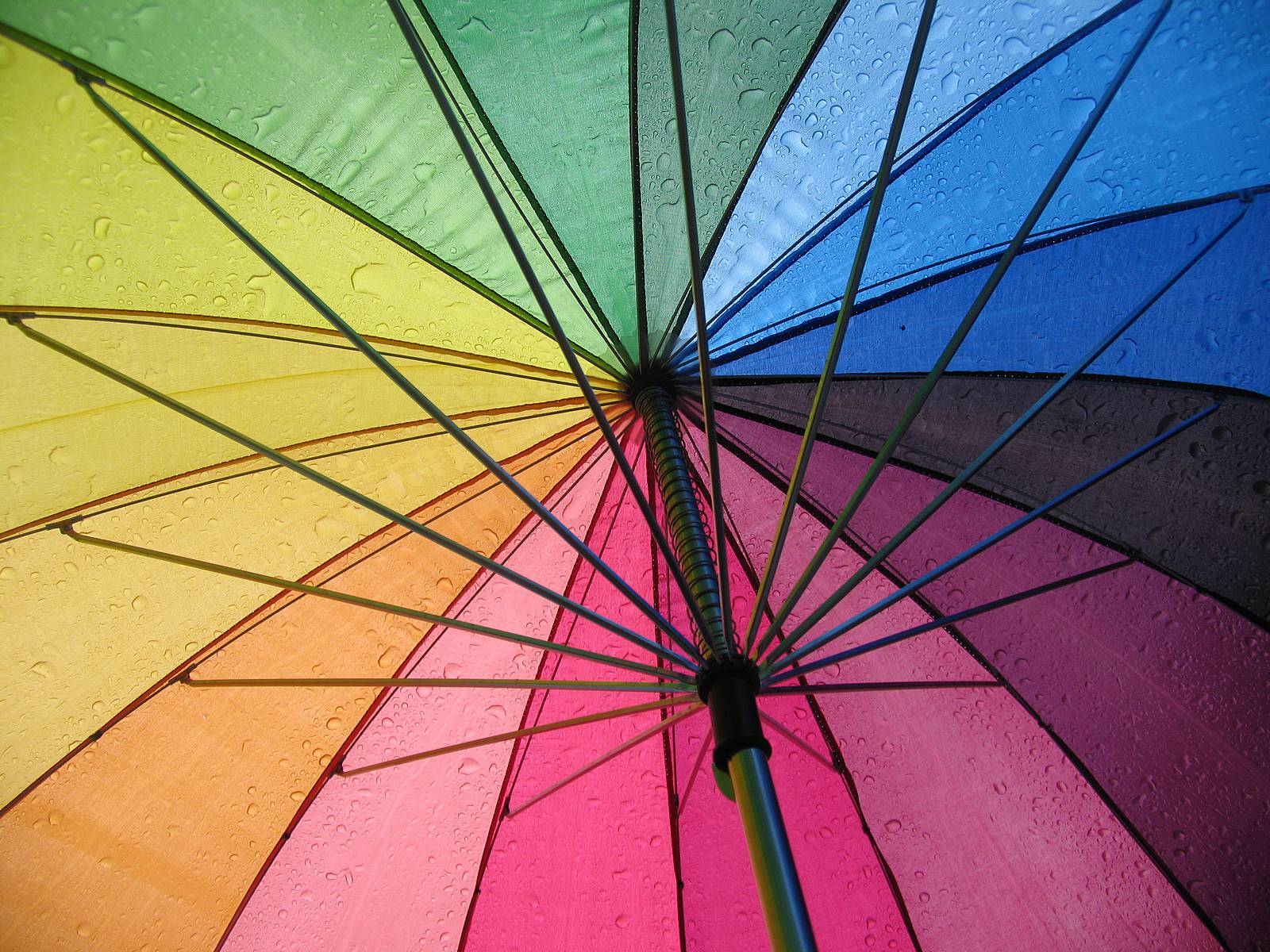 La modificació de la Llei: un retrocés per a les cooperatives