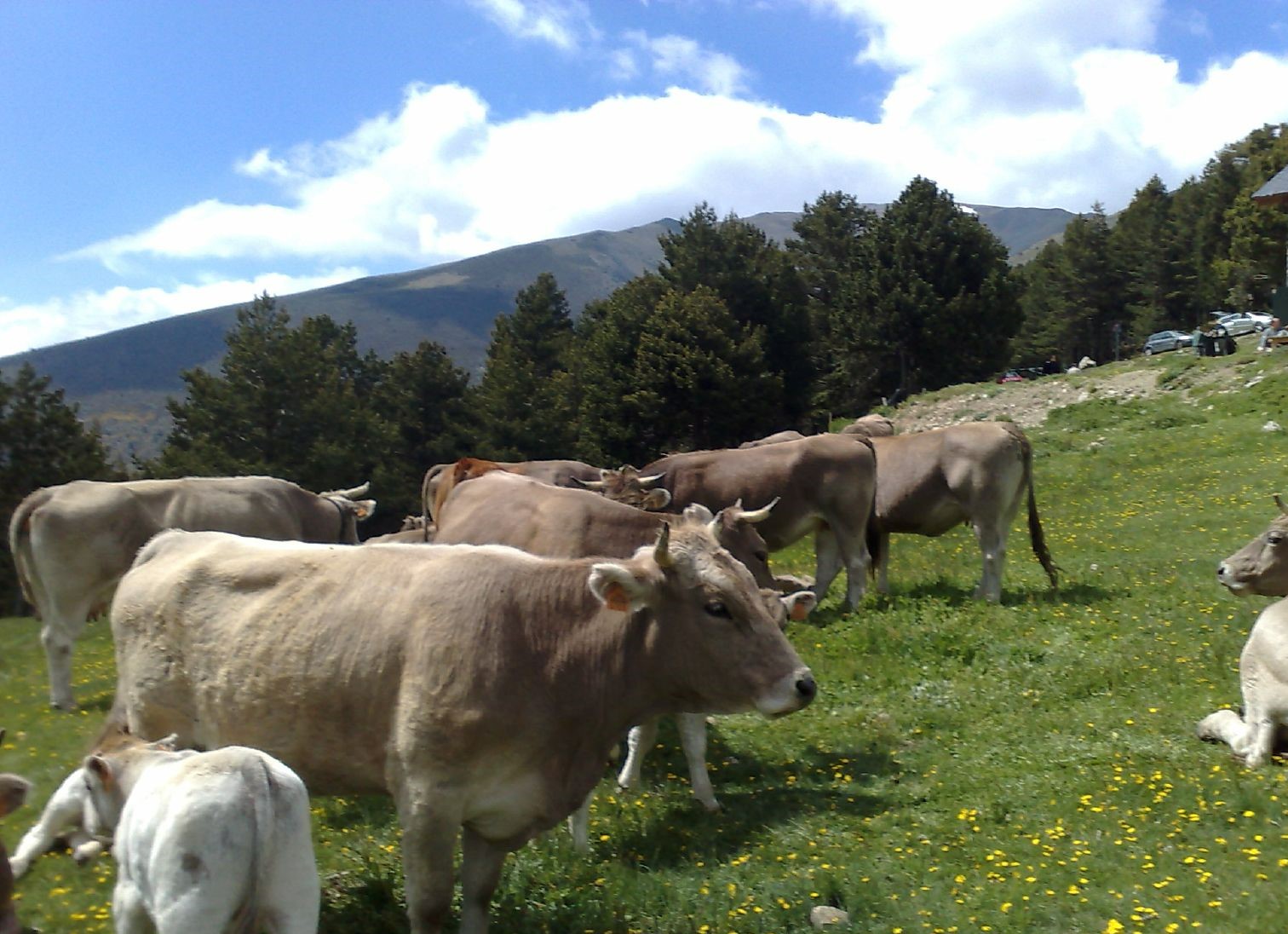 Reforçar l’agroecologia. Construir sobirania alimentària